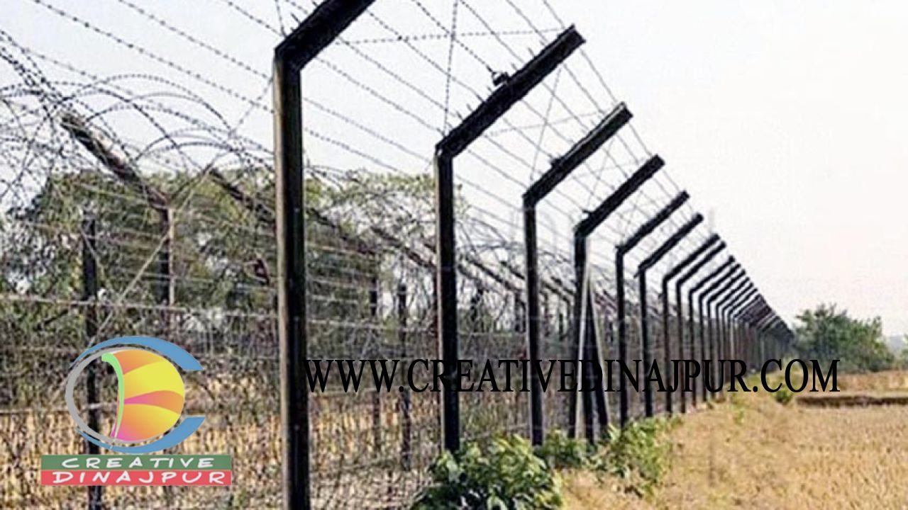 তেঁতুলিয়ায় অবৈধভাবে সীমান্ত পার হওয়ার সময় বিজিবি হাতে যুবক আটক