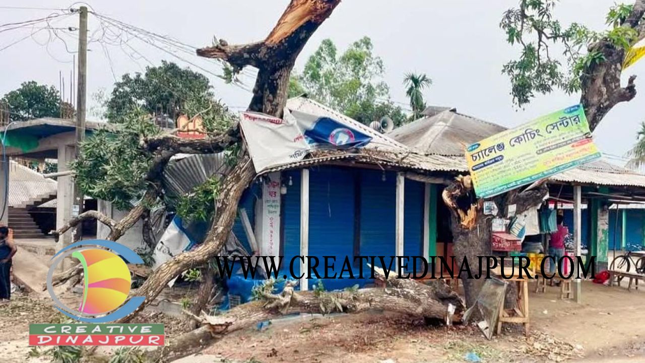 কালবৈশাখী ঝড়ে ভেঙ্গে পড়লো গাছ