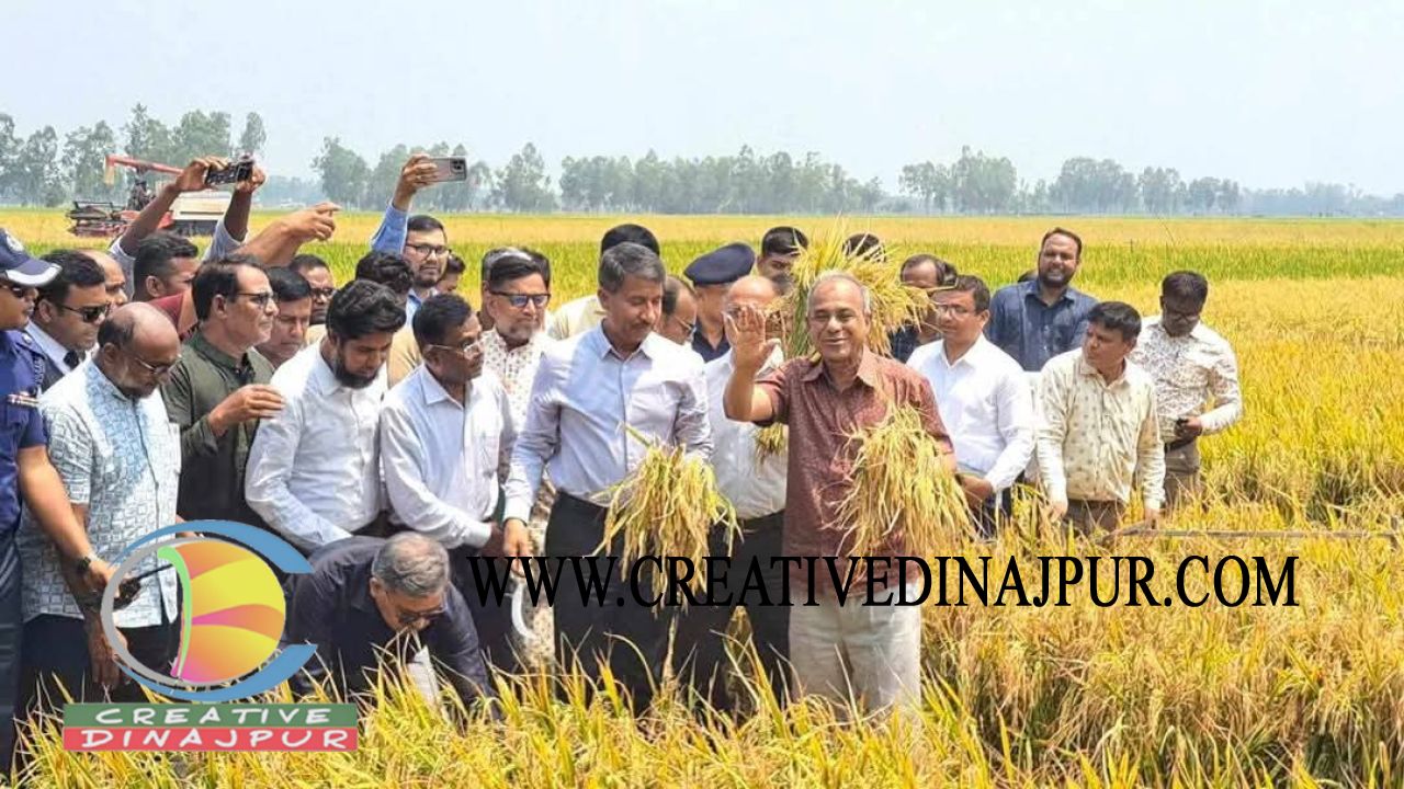 সীমান্ত এলাকায় ভীতির কোন কারণ নাই, সীমান্ত সম্পুর্ন নিরাপদ - স্বরাষ্ট্র উপদেষ্টা 