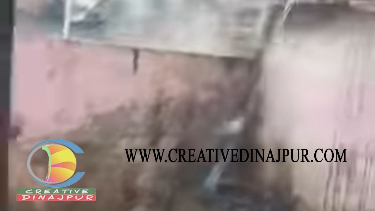 নবাবগঞ্জে বৈদ্যুতিক শর্ট সার্কিট থেকে ভয়াবহ আগুনে গরুর ঘর পুড়ে ছাই