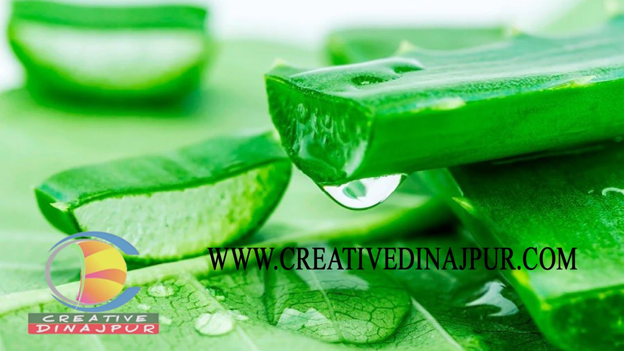 বাংলাদেশে প্রাকৃতিকভাবে ত্বক সুন্দর ও মসৃণ রাখার ঘরোয়া উপায়