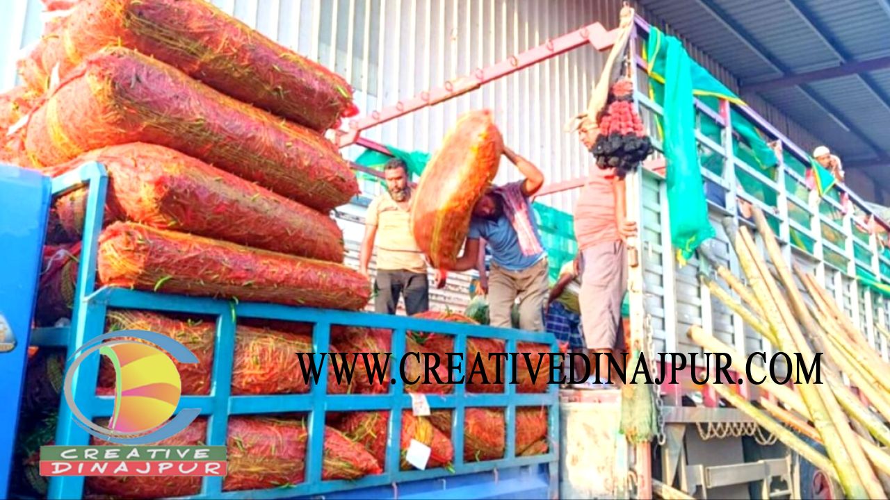 হিলি স্থলবন্দরে কাঁচা মরিচের আমদানি বৃদ্ধি পাওয়ায় কমেছে দাম