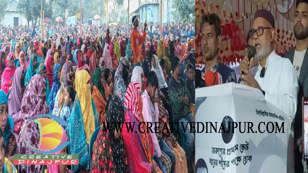 কাহারোলে আসন্ন ত্রয়োদশ জাতীয় সংসদ নির্বাচনে উপজেলা বিএনপি'র নির্বাচনী বিশাল জনসভা 