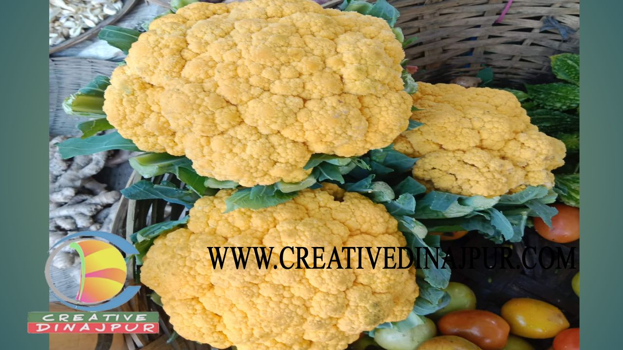 বীরগঞ্জে বিক্রি হচ্ছে রঙিলা জাতের ফুলকপি