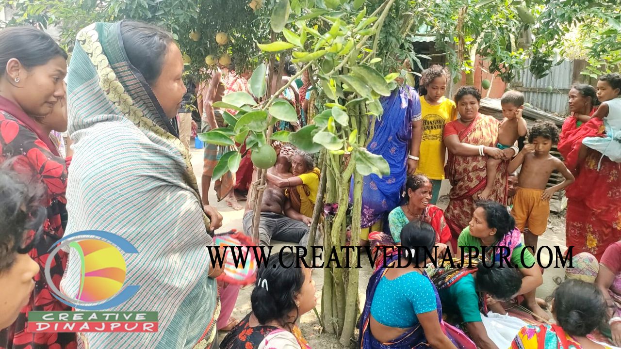 ঘোড়াঘাটে পুকুরে ডুবে নিভে গেল তিন বছরের নিরবের জীবন
