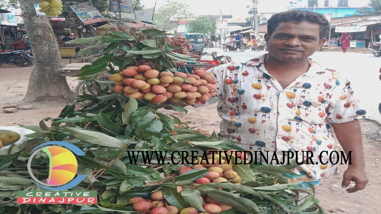 বীরগঞ্জে উঠতে শুরু করেছে রসালো ফল লিচু 