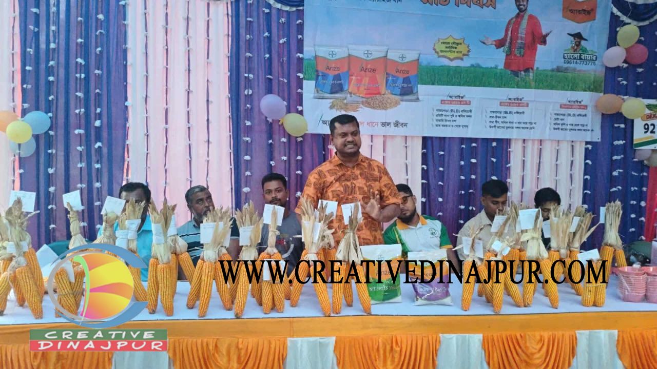 মাঠ দিবসে কৃষকদের উৎসাহ, ফলনের প্রতিযোগিতায় জমজমাট ডিকাল্ব ৯২১৭