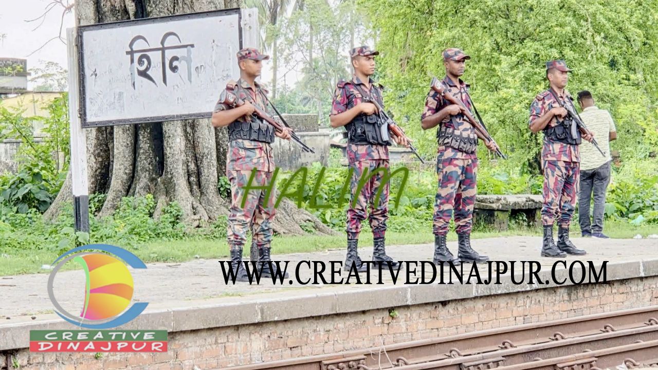 হিলি সীমান্তে পশুর চামড়া পাচার রোদে কঠোর নজরদারি