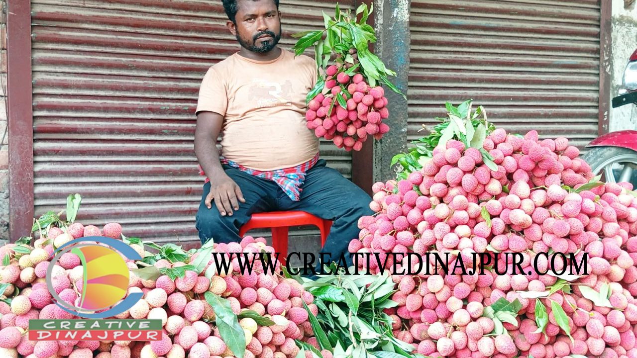 পাঁচবিবিতে জমে উঠেছে লিচুর বাজার 