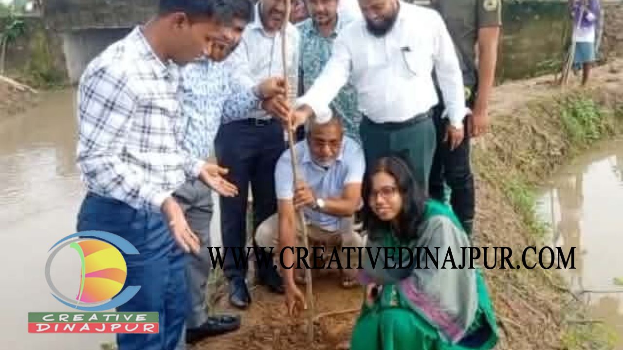 পাঁচবিবিতে খালপাড়ে বৃক্ষরোপণ করলেন ইউএনও কাশপিয়া তাসরিন 