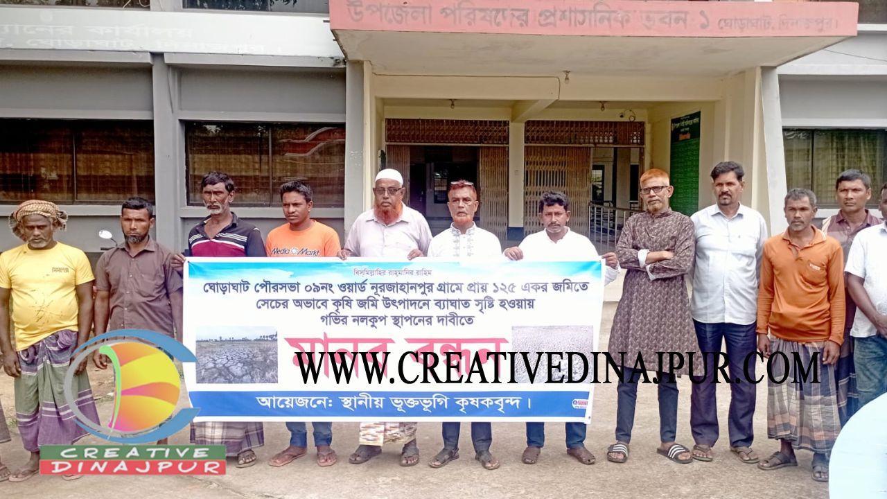 ঘোড়াঘাটে এক নলকূপে ১২৫ একর, সেচের অভাবে ফেটে চৌচির আমনের জমি