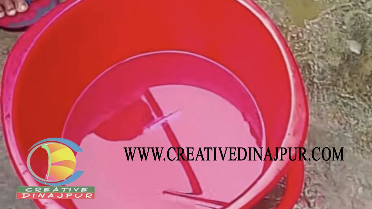 বীরগঞ্জে বালতির পানিতে পড়ে ১৭ মাসের শিশুর মৃত্যু