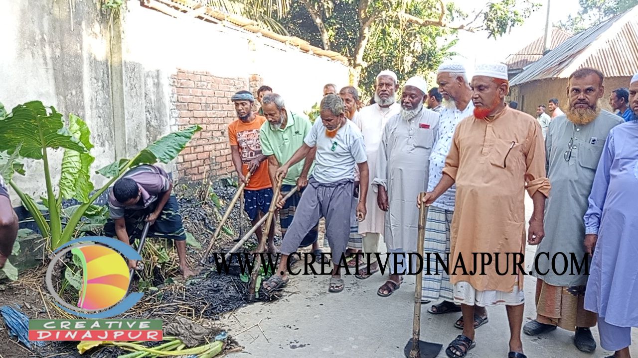 নবাবগঞ্জে ডেঙ্গু প্রতিরোধে জামায়াতে ইসলামীর পরিচ্ছন্নতা অভিযান