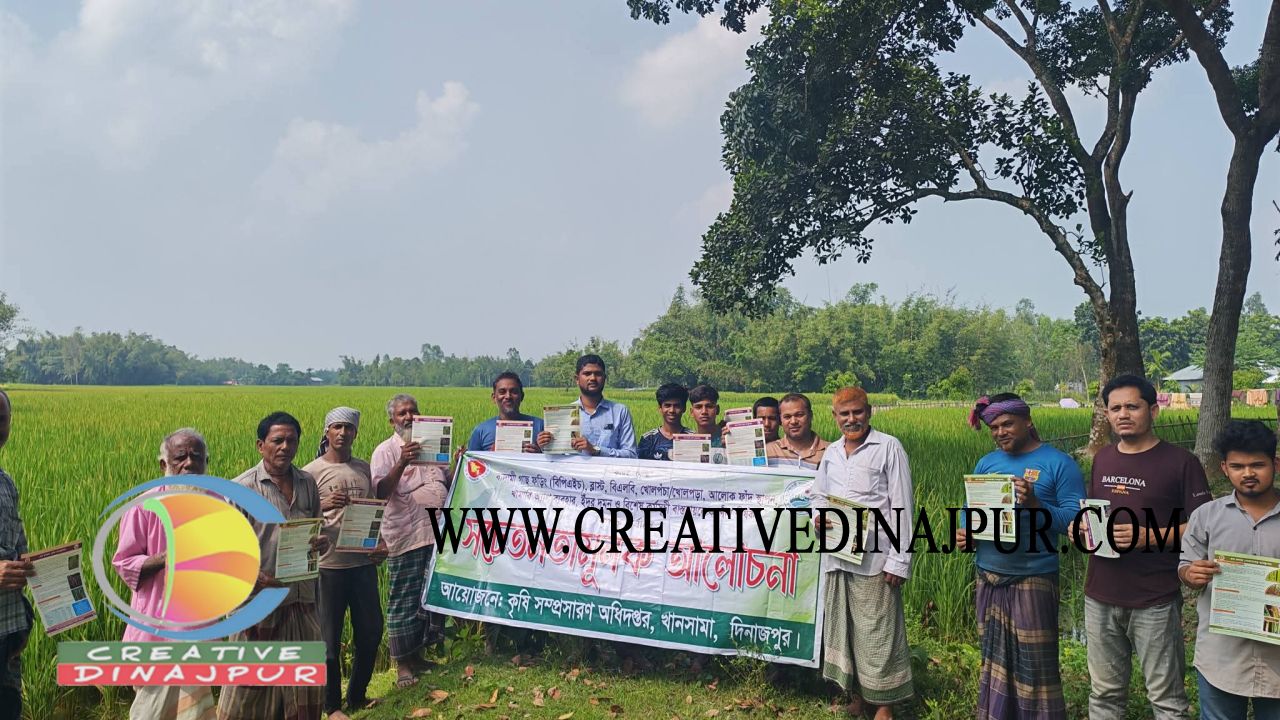 খানসামায় আমন ধানের বালাই দমনে সচেতনতামূলক সভা ও লিফলেট বিতরণ