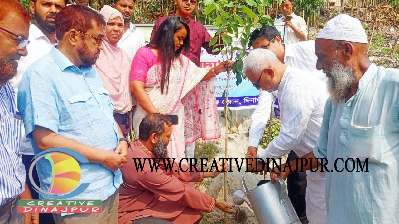 বীরগঞ্জে আশ্রয়ণ পুকুরপাড়ে বৃক্ষরোপণ কর্মসূচি উদ্বোধন 
