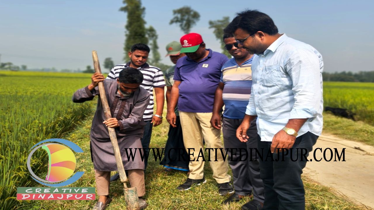 প্রতিষ্ঠাবার্ষিকীতে ব্যতিক্রমী উদ্যোগ, ঘোড়াঘাটে যুবদলের ৫ শতাধিক তালবীজ রোপণ